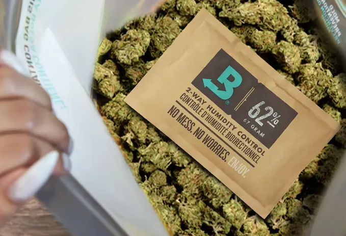 What Is Medical Cannabis?