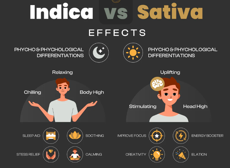 Indica vs. Sativa