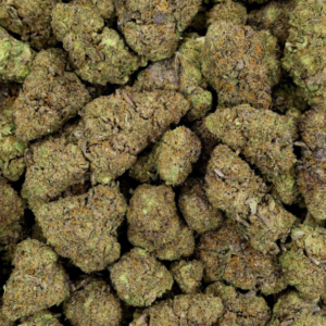 Buy Tropical Breeze Weed Strain